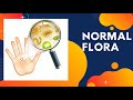 Normal Floral