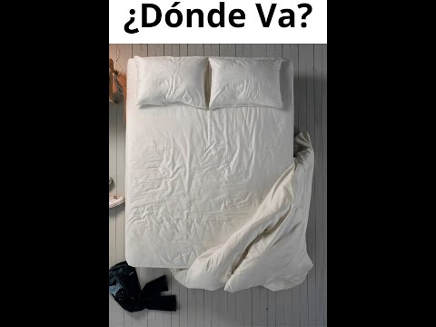 Video: Cama con dosel: ejemplos de diseño de dormitorio, foto