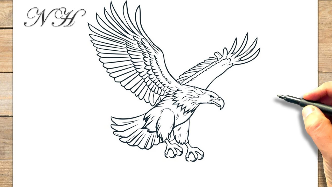 comment-dessiner-un-aigle-qui-vole-facile-youtube