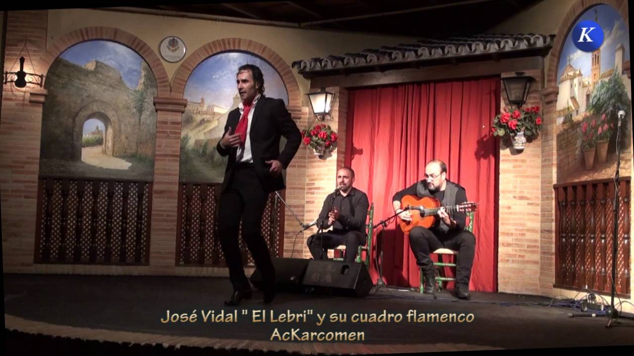 José Vidal 