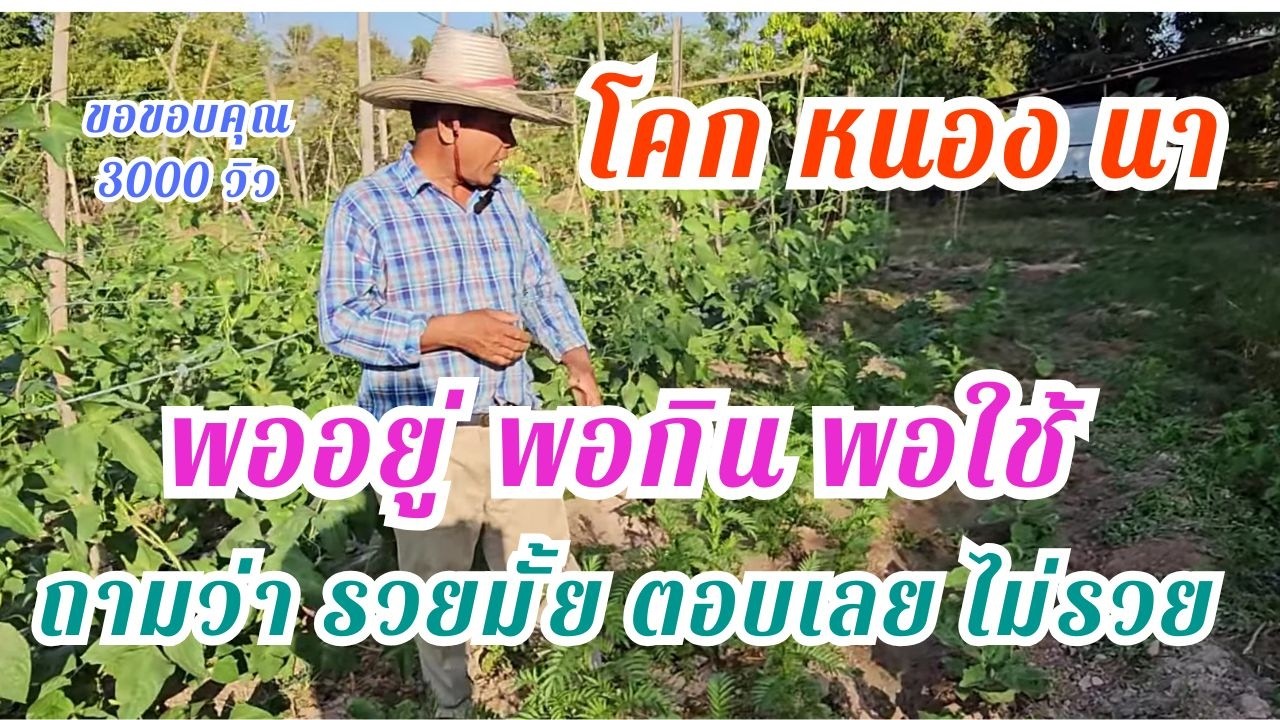 โคกหนองนา ฝั่งแดง  พอได้ขาย พออยู่พอกิน พอดำรงชีพ