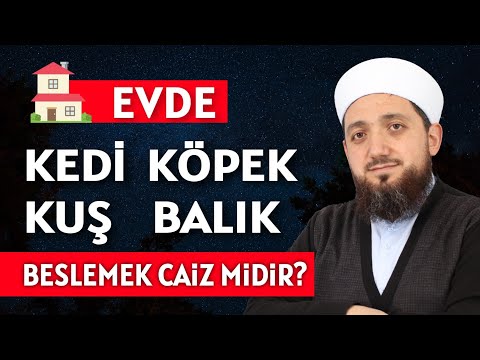 Evde Kedi, Köpek, Kuş, Balık Beslemek Caiz mi? Evde Hayvan Beslemenin Şartları?