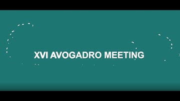 Giulia Fardelli - XVI Avogadro Meeting