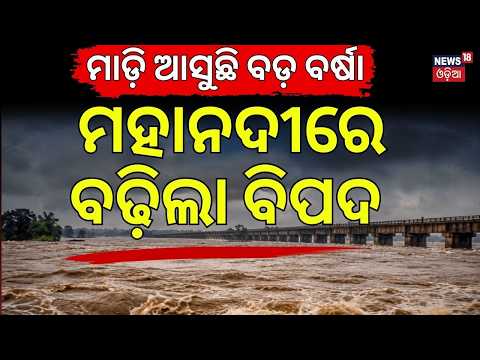 ମହାନଦୀରେ ବଢ଼ିଲା ବିପଦ! Odisha Low Pressure Alert | Heavy Rain in Mahanadi Basin | Odisha Rain News