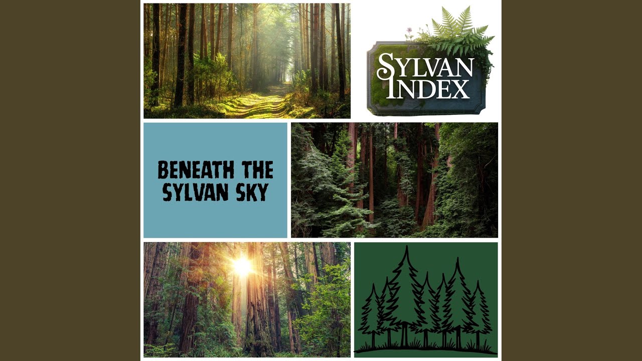 Refreshing Forest Sounds