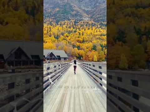 خلونى نعيش حياتى نجوى فاروق