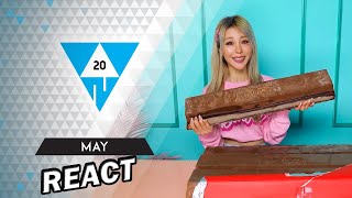 React: Win Compilation Mai 2020