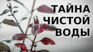 ТАЙНА КРИСТАЛЬНО ЧИСТОЙ ВОДЫ