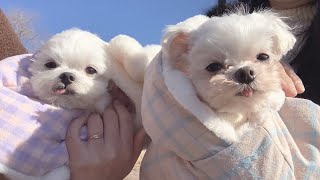 Bitna's Re-Visit Home | Will She Recognize Familiar Faces? by 보리 빛나는 밤 kiyomi_bori 56,066 views 3 months ago 4 minutes, 32 seconds