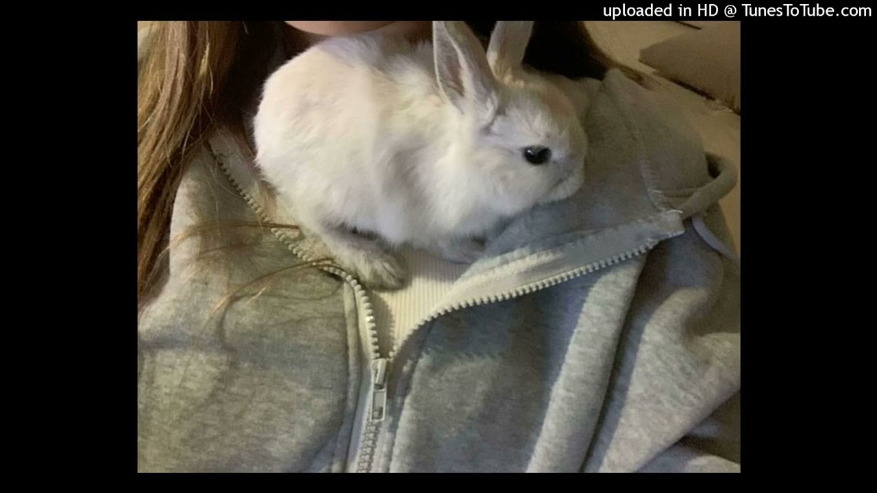 [FREE] scenecore x club x dance type beat "pochemu ti plachesh"