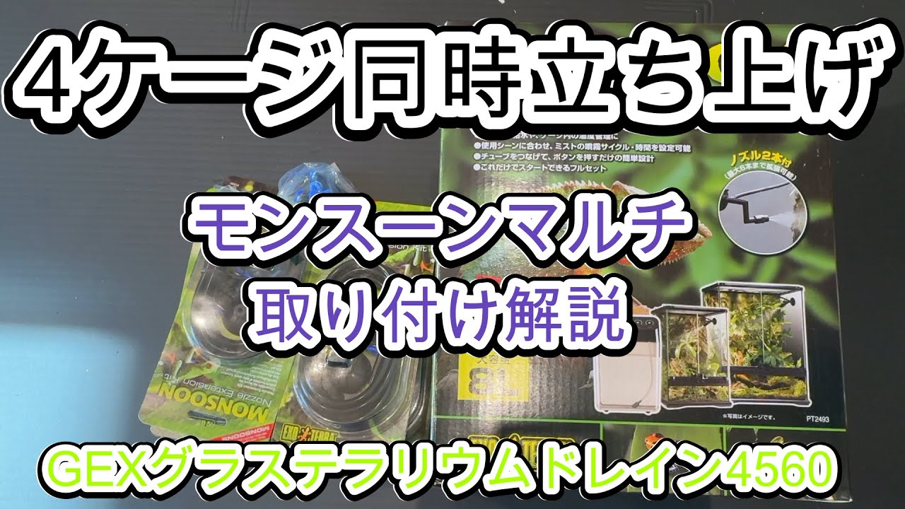 Paludarium】GEXモンスーンマルチのセットアップをゆっくり紹介 - YouTube