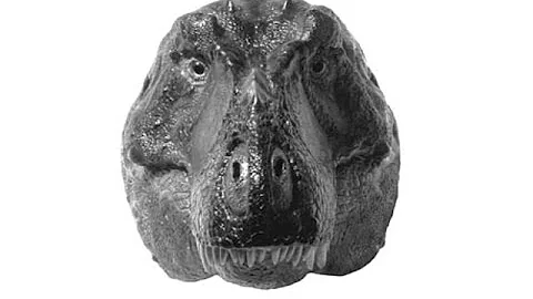 Quanto pesa un cucciolo di T-Rex?