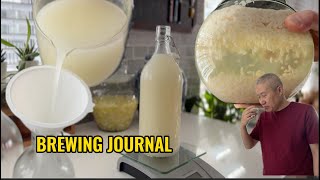 Sweet Fermented Rice to Rice Wine ：A Homemade Brewing Journey