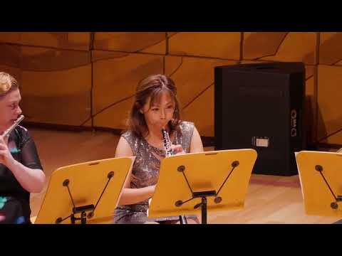 Related Embedded Video Item Thumbnail