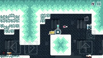 Nameless Cat-level 13