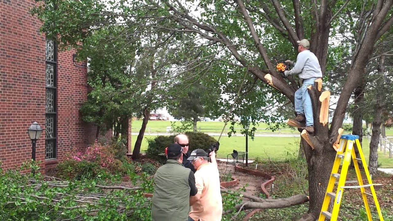 ECOTR Tree Trimming YouTube