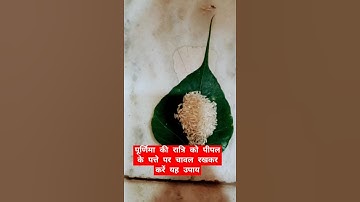 रोग से ग्रसित है तो पूर्णिमा की रात्रि को करें पीपल के पत्ते पर चावल रखकर यह उपाय#trending
