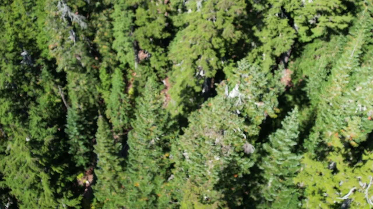 Sam Sayers search Oct 2023 flight 1 part D.