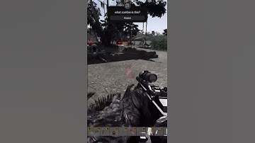 small zombies #dayz #gaming #dayzgameplay #dayzgamers