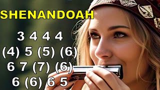 SHENADOAH HARMONICA ( C DIATONIC ), ARMÓNICA C, TABS, BLUES HARP C, GAITA DE BOCA C, MUNDHARMONIKA