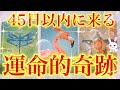 【もはや予言🔮】45日以内にあなたに訪れる“運命の奇跡”とは？💫【当たるタロット占い】【オラクルカードリーディング】【再投稿】