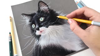 How to draw long WHITE FUR with pastel pencils | REAL TIME