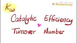K.Cat. Turnover Number, Catalytic Efficiency (Enzyme Kinetics) - Biochemistry 🧪