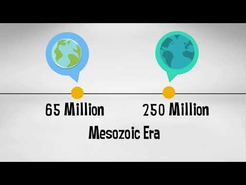 Mesozoic Era | Geological time scale with events |