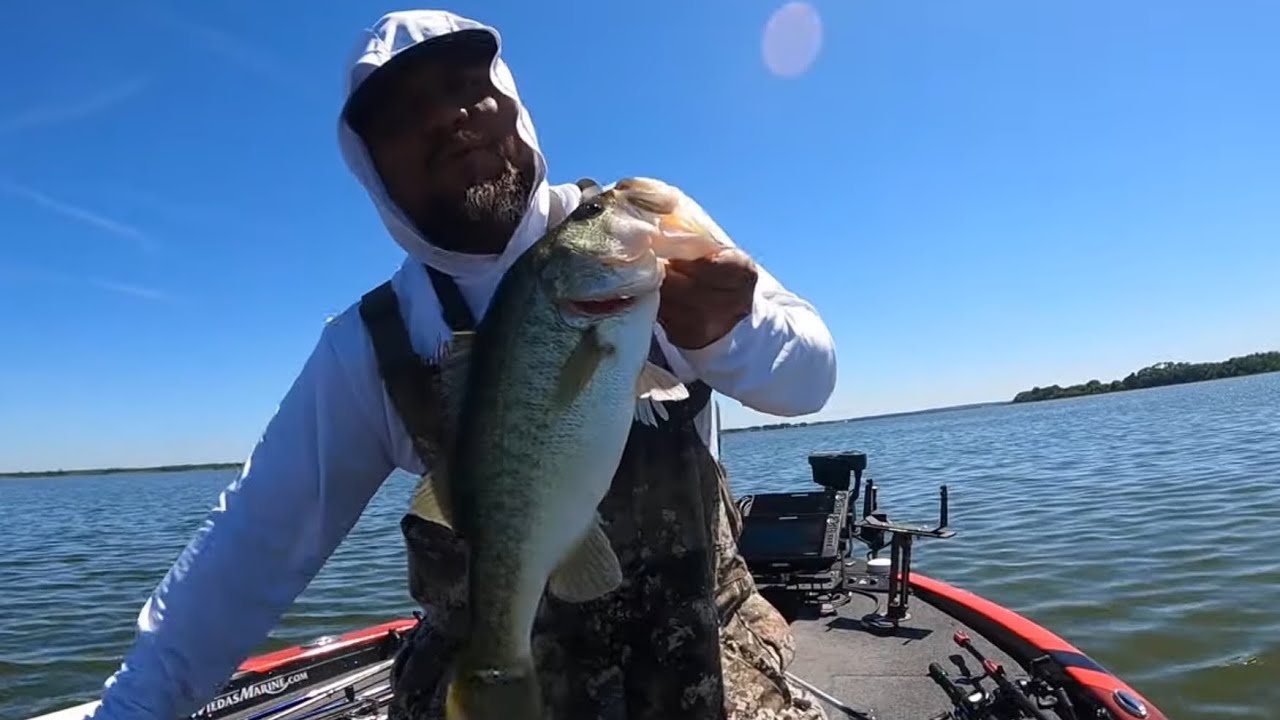 Que buena pesca de spotted bass!!🤯