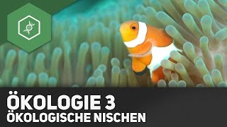 Ökologische was nischen sind Unterschied Lebensraum