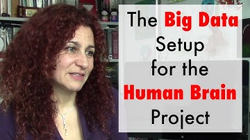 The Big Data Setup of the Human Brain Project (ft. Anastasia Ailamaki)