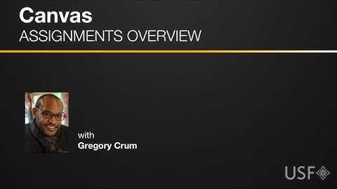 Canvas Assignments Overview