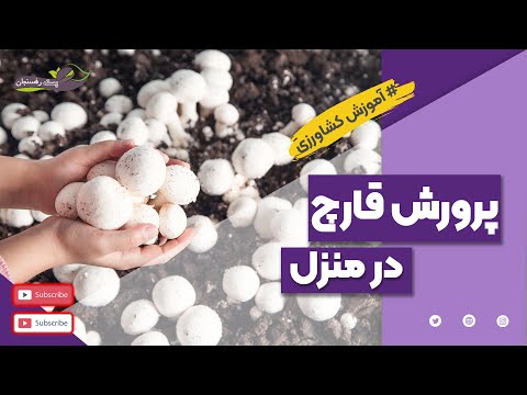 تصویری: 3 روش برای پرورش خرگوش کوتوله