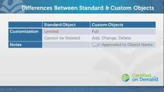 Managing Custom Objects in Salesforce