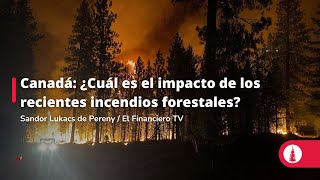 Canadá: ¿Cuál es el impacto de los recientes incendios forestales?