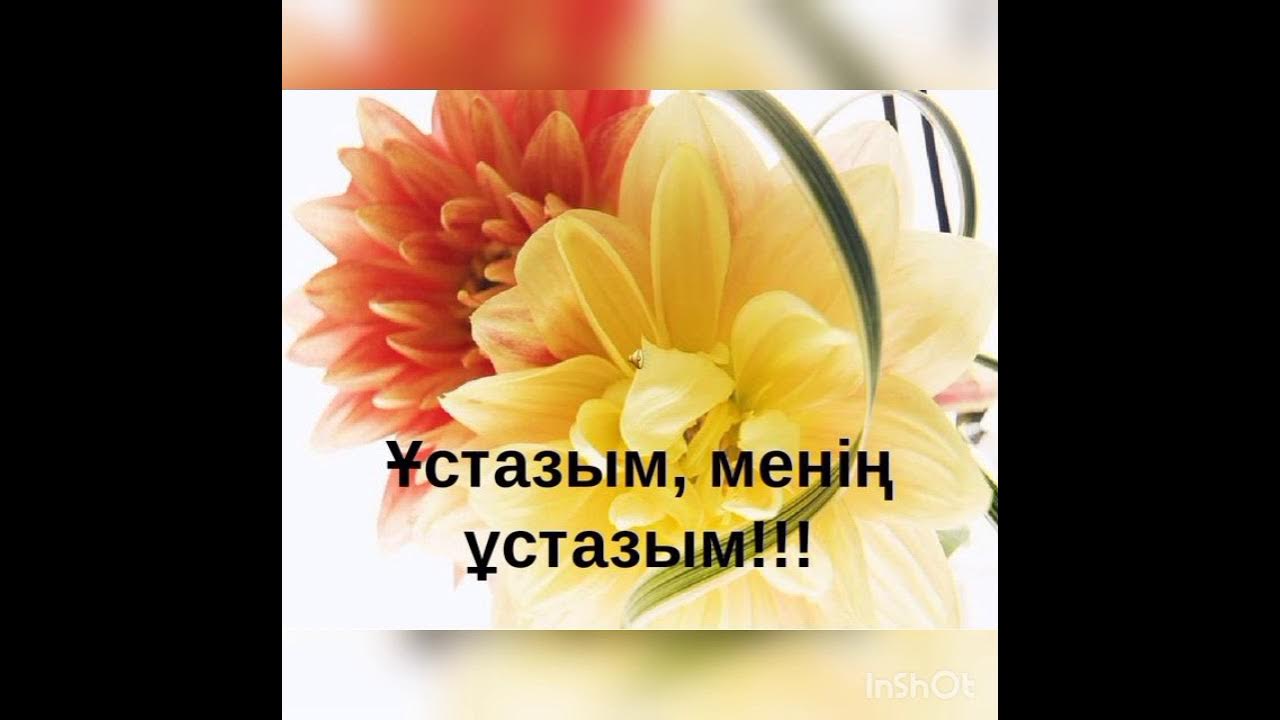 Учителя в караоке. Әліппе әні бота бейсенова. Мугалим рисунок. Мугалим рисунок. Шаршама ұстаз шаршама текст.