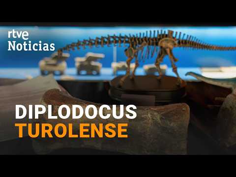Descubren en Teruel los primeros restos del dinosaurio diplodocus fuera de Norteamérica | RTVE