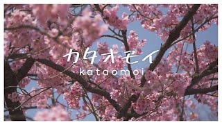 カタオモイ (Kataomoi) - Aimer | はとSEIKA