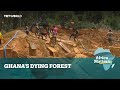 Africa Matters: Mining and logging threaten Ghana forests