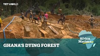 Africa Matters: Mining and logging threaten Ghana forests by TRT World 1,430 views 1 day ago 3 minutes, 56 seconds