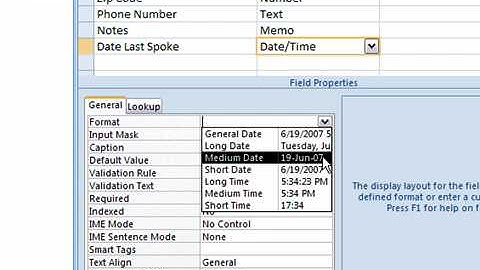 Use the Date/Time Data Type in Access 2007