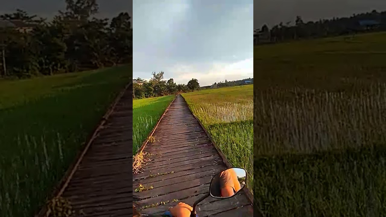 Jalan sore - YouTube