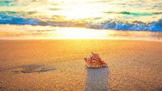 Somewhere Ahead - Daniel Kaede, Beautiful Guitar Music, Relaxing Music, Study Music