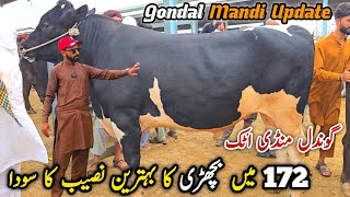 Today Gondal Mandi Attock Latest Update 4 May 2026 | Qurbani Bakra Eid Bhatta Chowk 