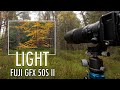 The Importance of LIGHT - Autumn Woodland Photography with Fuji GFX 50S II