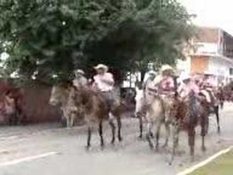 CAVALARIA DE SO BENEDITO APARECIDA DO NORTE