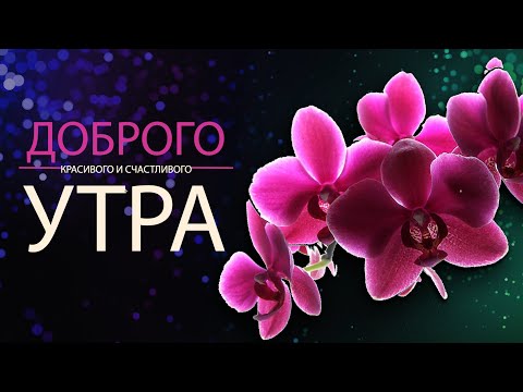✅Доброго и счастливого утра!✅