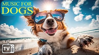 24 Hours of Best Relaxing for Dog with Soothing Music: Deep Sleep Music & Calming Music for Dogs