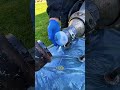 Así Funciona el Revestimiento de Tuberías sin Romper Paredes
