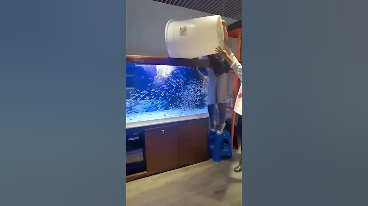 Accommodating fish 🐟